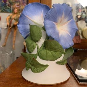 Heavenly Blue Morning Glory